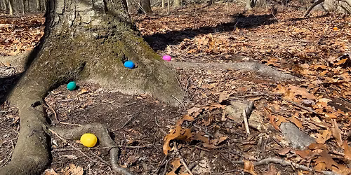 The Great Earthplace Egg Hunt 2026