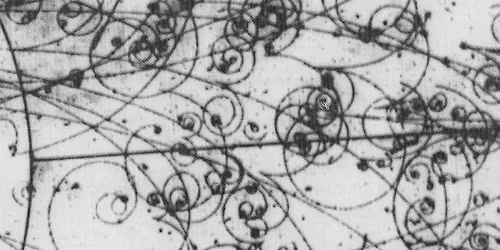 Alison's Halo, Tanukichan in Tucson