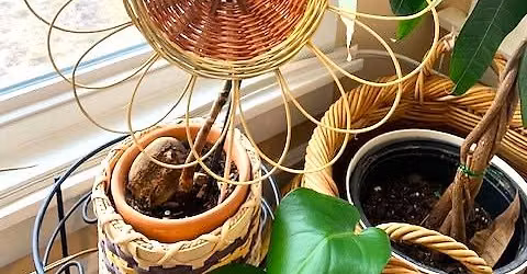 Beginner Wickerwork Sunflower Decoration