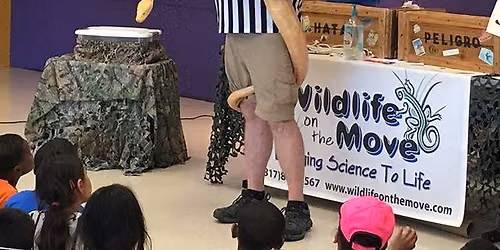 Wildlife On The Move Presents Boas vs. Pythons at Mary Lou Reddick Public Library (Lake Worth, TX)