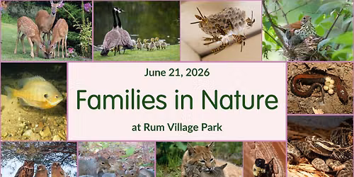 Families in Nature
