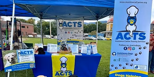 Bark in the Park
