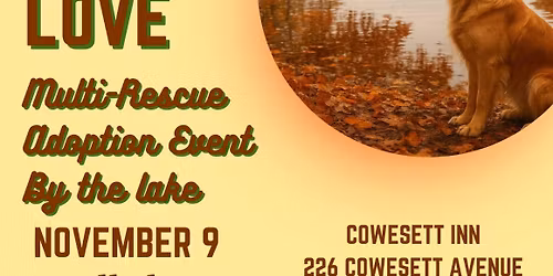 Fall in Love Adoption Event!