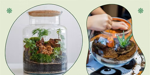 Build Your Own Terrarium Bar - Parks Plant Shoppe