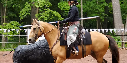 Working Equitation Clinic and Ride-a-Test with Kim Roe