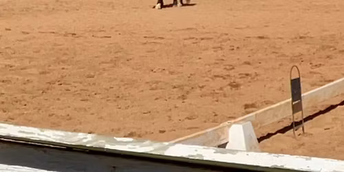 LCHA Champion Dressage Show