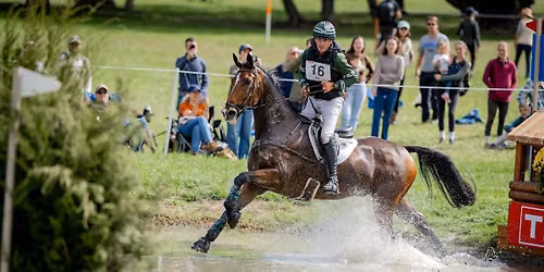 Cancel till Spring Wood Clinic at Harmony Hill Farm