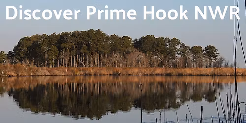 Walkabout & Discover Prime Hook National Wildlife Refuge