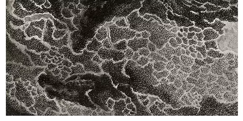 Emmanuelle PIDOUX Expose "Bruxisme"