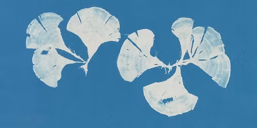 Cyanotype Workshop with Luis Fonesca