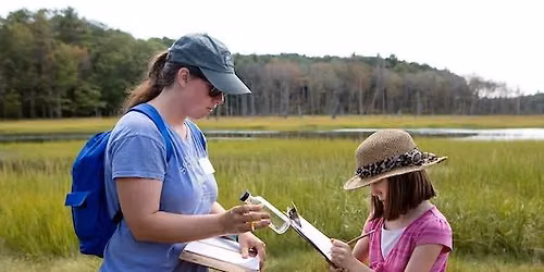 Family & Beginner Bird Walks \u2013 Scarborough Marsh