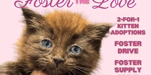 Foster The Love!