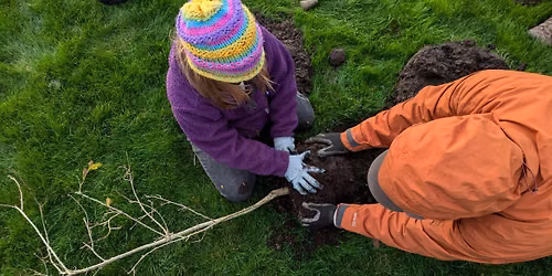 Tree Planting at Ebey Waterfront Trail