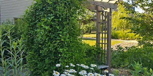 Silent Mindfulness Meditation Retreat