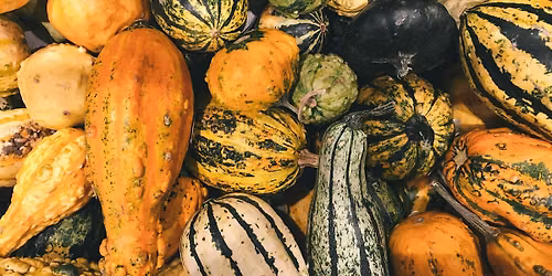 Everything Squash