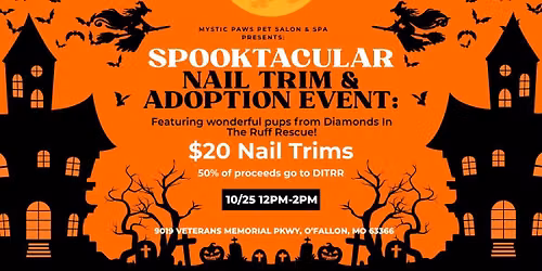 Adoption & Paw-dicure Party