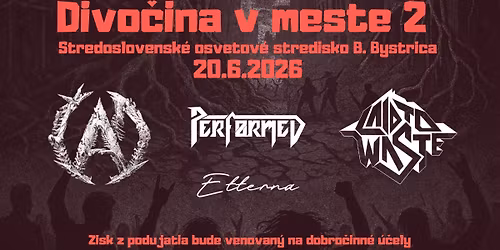 Divo\u010dina v meste 2