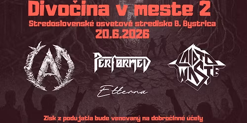 Divo\u010dina v meste 2