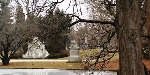 Spring Grove Nature Walk \/ Plants of Superstition