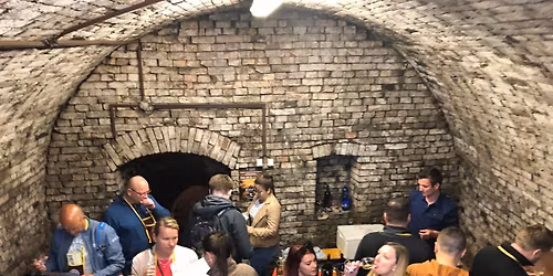 Svatomartinsk\u00fd den otev\u0159en\u00fdch sklep\u016f