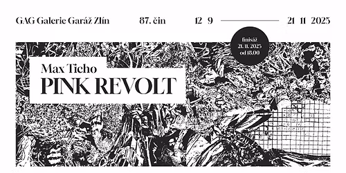Finis\u00e1\u017e: Max Ticho _ Pink Revolt
