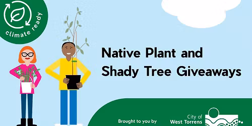 Native Plant and Shady Tree Giveaways