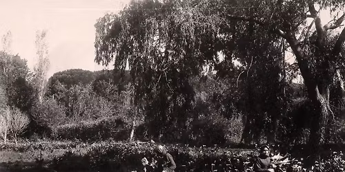 Suburb of Champions - A Claremont Heritage Walking Tour