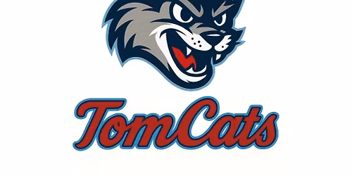 13U Travel Baseball Tryouts