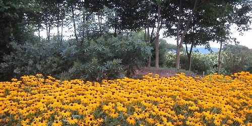 The West End Improvement Group Annual Basket Party