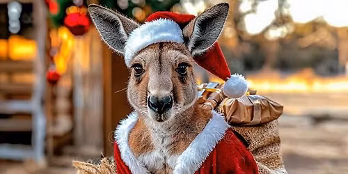 Bungendore Christmas Market 