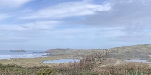 Practical Conservation Session