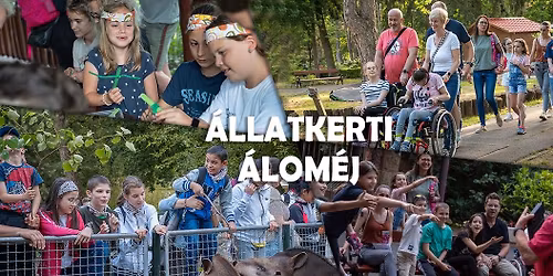 Dreamnight at the Zoo - \u00c1llatkerti \u00e1lom\u00e9j