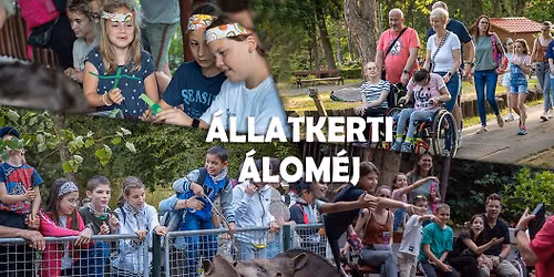 Dreamnight at the Zoo - \u00c1llatkerti \u00e1lom\u00e9j