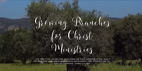 Christmas in the Courtyard