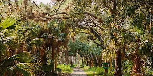 Elemental & Sound Healing Mini Retreat