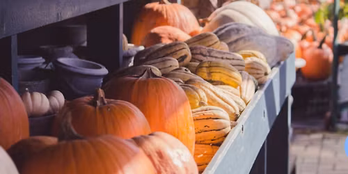 Fall Festival Market