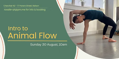 Intro to Animal Flow