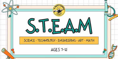 S.T.E.A.M.