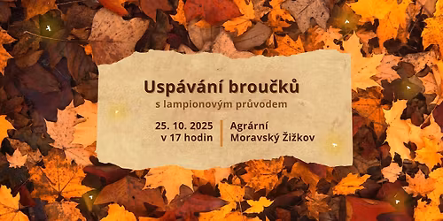 Usp\u00e1v\u00e1n\u00ed brou\u010dk\u016f s lampionov\u00fdm pr\u016fvodem 2025 \u2728