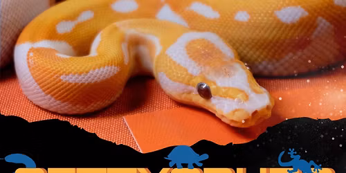 Gettysburg Reptile Expo LLC