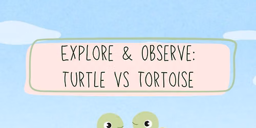 Explore & Observe