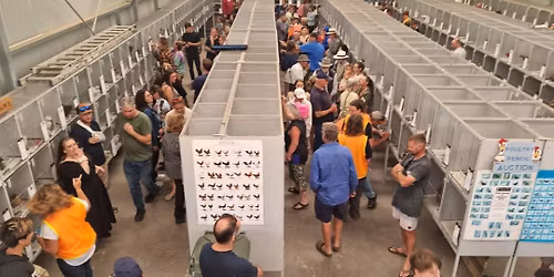 Albany Poultry Pencil Auction No9 2025