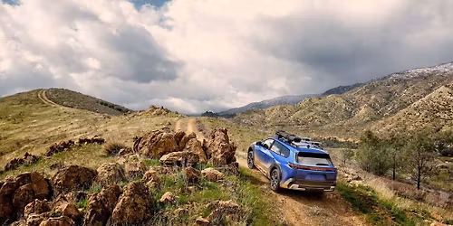 Brown Mountain Lightning Bugs