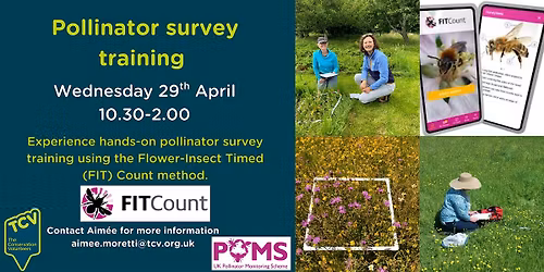 Pollinator survey training (FIT Count)