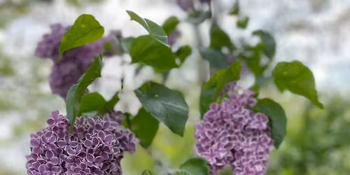 Drum Circle \u201cGive Me a Word\u201d