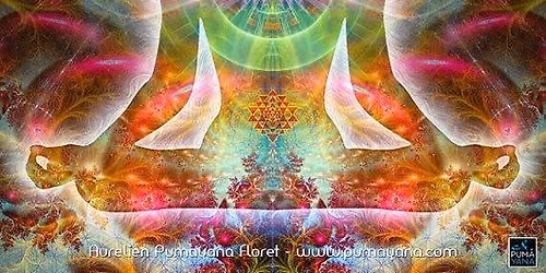 Entheogens Sharing & Integration Circle - Support Group