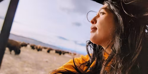 Birds, Bison and Belonging