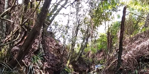 Elands Community Market