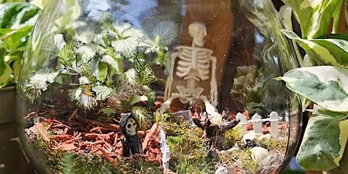 Spooky Terrarium Workshop