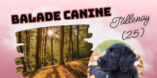 Balade \u00e0 Tallenay